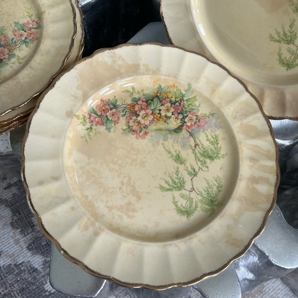 Imperial ware porcelain breath o spring dinner plates yellow 11 plates 1930s - Picture 5 of 17